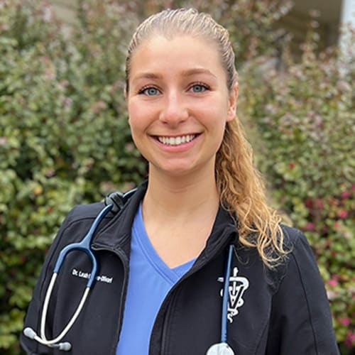 Dr. Leah Paterno-Olivari, Mooresville Veterinarian
